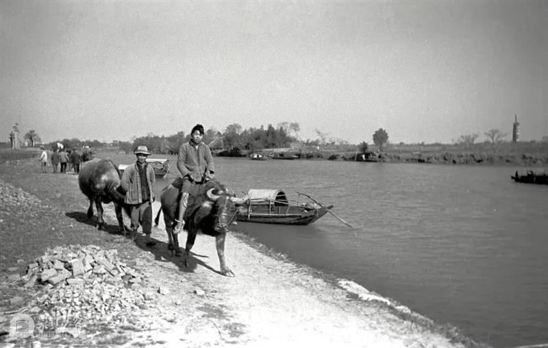 延伸阅读|金石声:“业余”身份的专业眼光 北京中间美术馆 崇真艺客